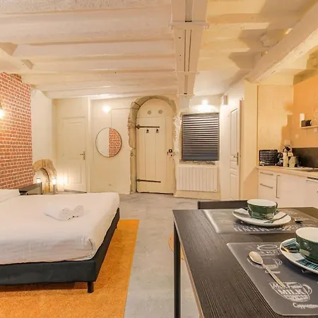 Industrial-Style Studio With Bathtub, Vieux-Lyon Exterior photo